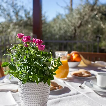 Casa Osala أروسييْ